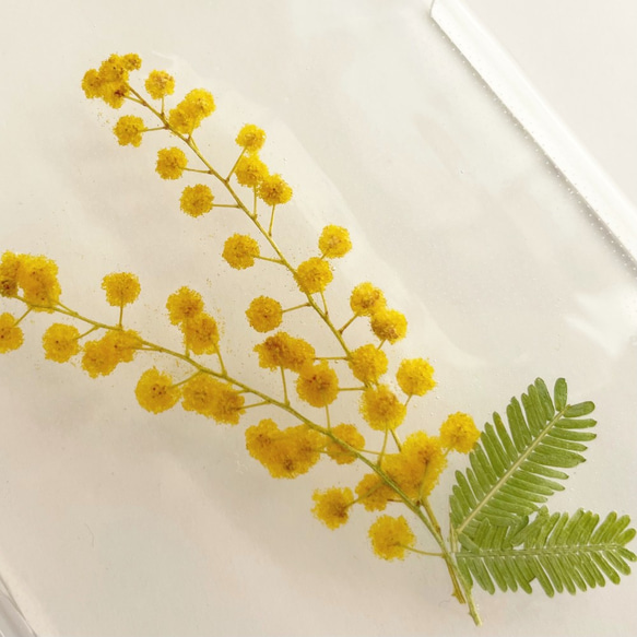 simple mimosa 　～ふわふわミモザのシンプル押し花ケース　全機種対応 4枚目の画像