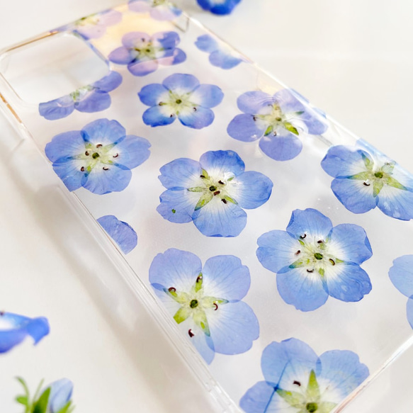 nemophila blue 　～ネモフィラブルー～　押し花ケース　全機種対応　 3枚目の画像