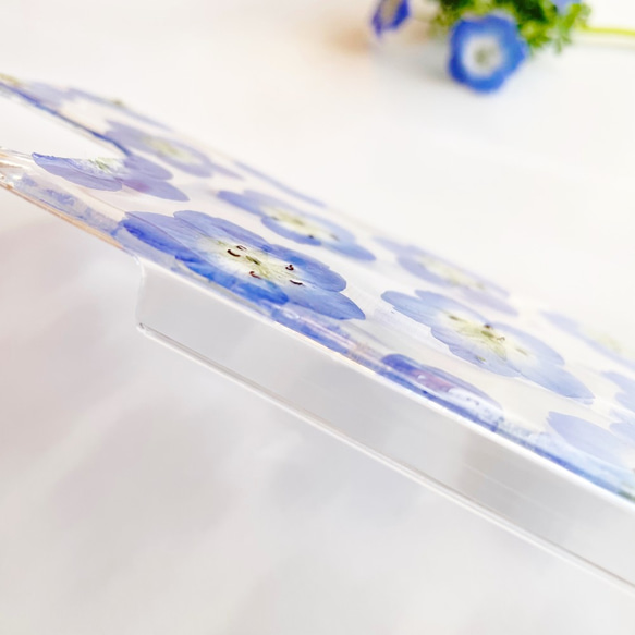 nemophila blue 　～ネモフィラブルー～　押し花ケース　全機種対応　 6枚目の画像