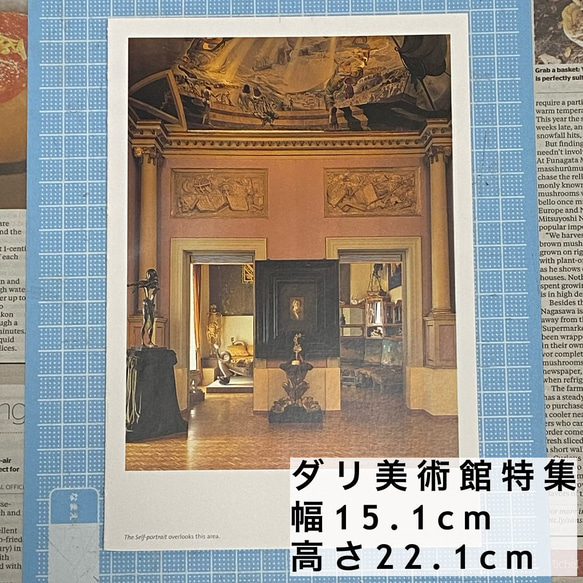 コラージュ・デコ用 洋書 切り離し 6種類 計34枚セット 3枚目の画像