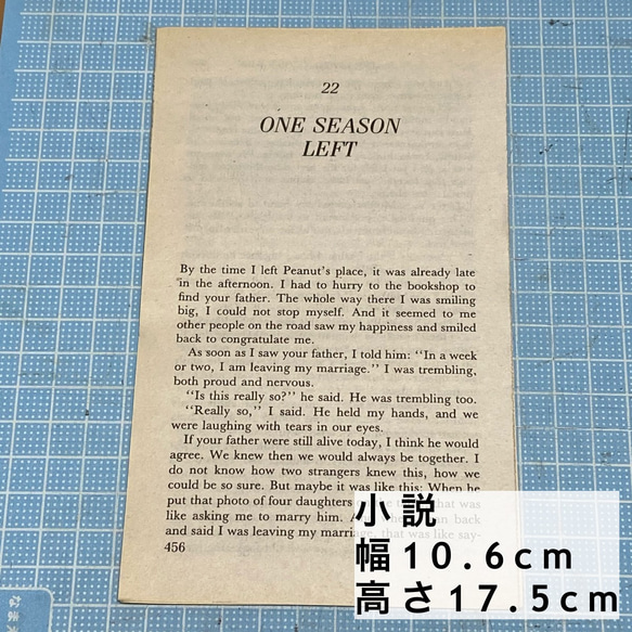 コラージュ・デコ用 洋書 切り離し 6種類 計34枚セット 4枚目の画像