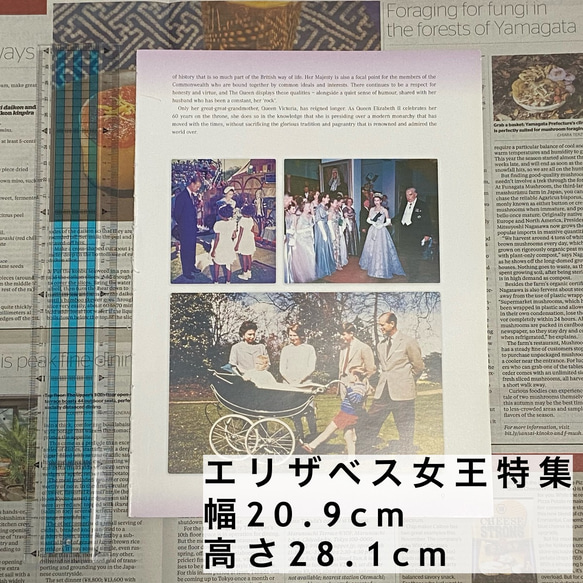 コラージュ・デコ用 洋書 切り離し 6種類 計34枚セット 5枚目の画像