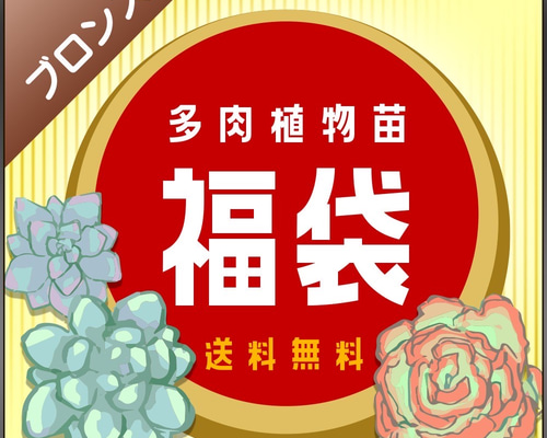 1_1c655113193d3865d2e224693f4d