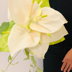 アンスリウムのブーケ&ブートニア ブーケ florist 通販 12483657