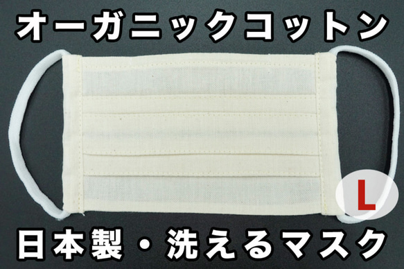 大人用 オーガニックコットンマスク ｜ 日本製・洗える プリーツマスク ｜ きなり ｜ 3ha 6枚目の画像