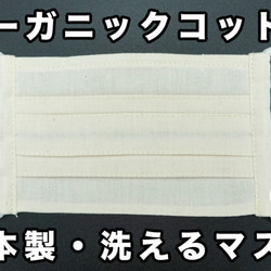 大人用 オーガニックコットンマスク ｜ 日本製・洗える プリーツマスク ｜ きなり ｜ 3ha 1枚目の画像