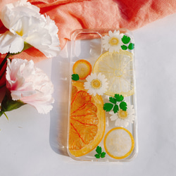 果物とレモン 押し花ケース iPhone15plus スマホケース Xperia Ace III/iPhone14/ 2枚目の画像