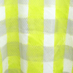 [訂購銷售]條紋布檢查長裙（GG） 第5張的照片