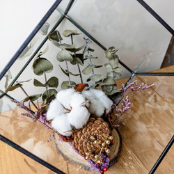 【幾何乾燥花盒】 幾何玻璃花器 花藝禮品 乾燥花 送禮 辦公室小物 美觀 告白用 第5張的照片
