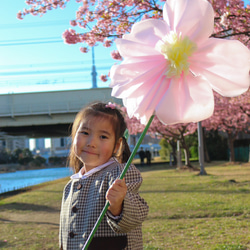 桜の花ジャンボフラワー 1枚目の画像