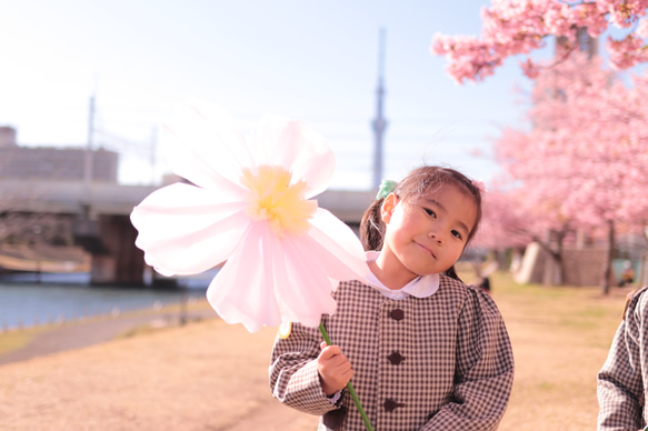 桜の花ジャンボフラワー 2枚目の画像