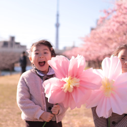 桜の花ジャンボフラワー 6枚目の画像