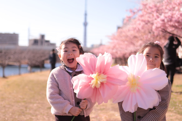 桜の花ジャンボフラワー 6枚目の画像