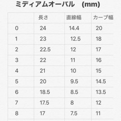 no.14«オーダー受付中»ニュアンスネイル ブラウン 天然石 淡色 2枚目の画像