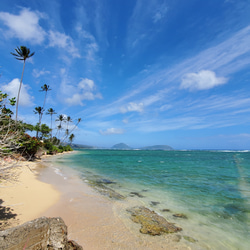 大粒ローズクォーツとグリーンカルサイトのサンキャッチャー 天然石 From Hawaii 6枚目の画像