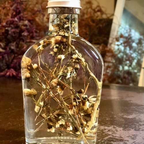 errer 香水瓶 白い小さな花 標本 ハーバリュウム 植物標本