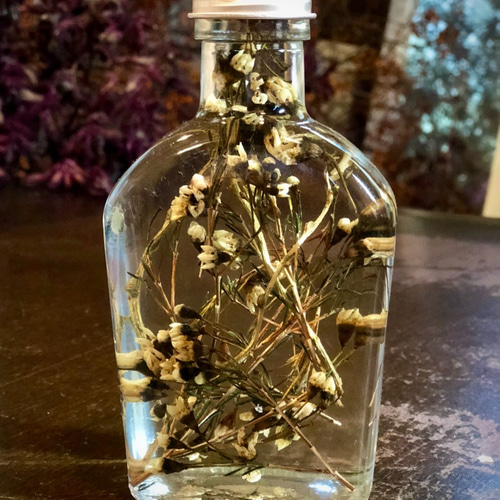 ハーバリウム -ワックスフラワー- ハーバリウム・植物標本 花千