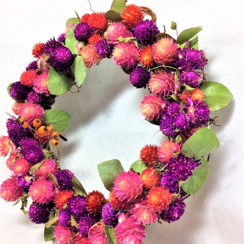 千日紅ポンポンドライフラワーリース ストロベリーフィールド ローズ