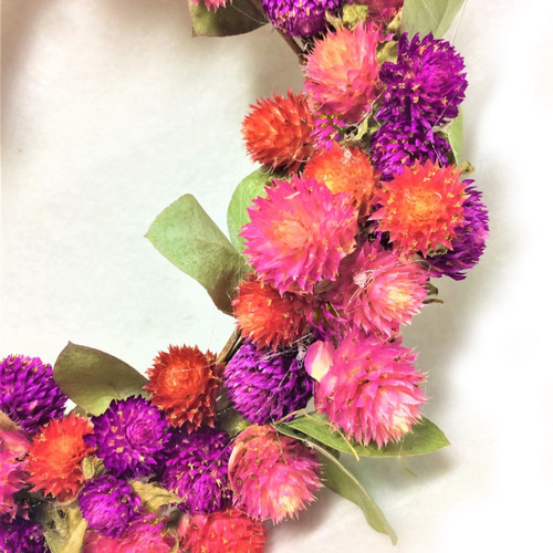 ドライフラワーリース　ハーフリース　千日紅　ユーカリ ユーカリと千日紅のドライフラワーハーフリース | ドライ