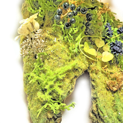 -森の風景- 多肉植物 エケベリア フェイクグリーン 緑 4枚目の画像