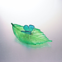 《再販》ガラスの蝶  ルーミスシジミ on リーフ 1枚目の画像