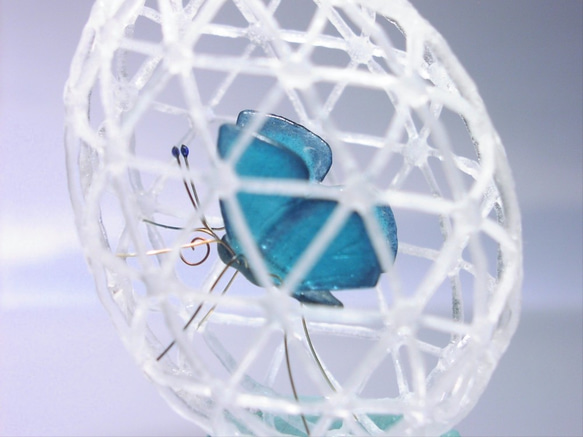 蕾絲蛋的玻璃蝴蝶Lumi Shinji 第1張的照片