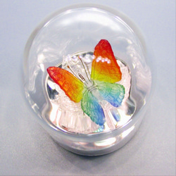 ガラスの蝶 レインボー in ドーム 4枚目の画像