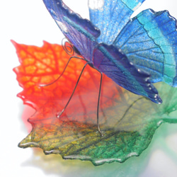 ガラスの蝶 ルリタテハ on リーフ 4枚目の画像