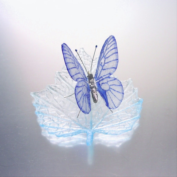 ガラスの蝶 ウスバアゲハ on リーフ 3枚目の画像
