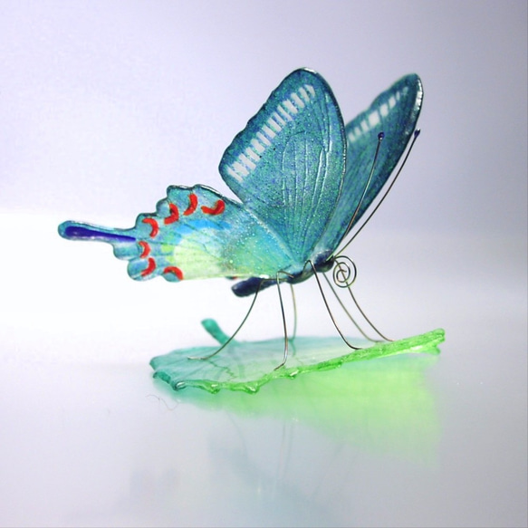 ガラスの蝶 カラスアゲハ on リーフ 1枚目の画像