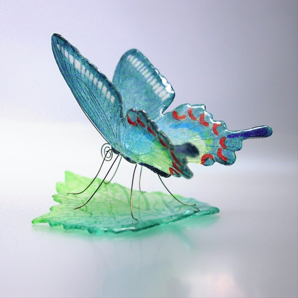 ガラスの蝶 カラスアゲハ on リーフ 2枚目の画像
