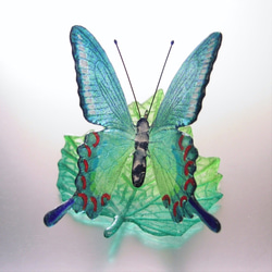 ガラスの蝶 カラスアゲハ on リーフ 3枚目の画像