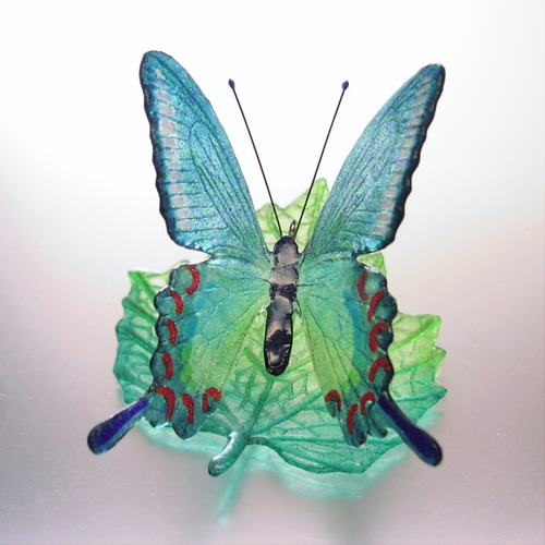 蝶の樹Butterfly Tree #004