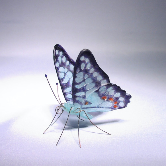 ガラスの蝶 ミカドアゲハ 1枚目の画像