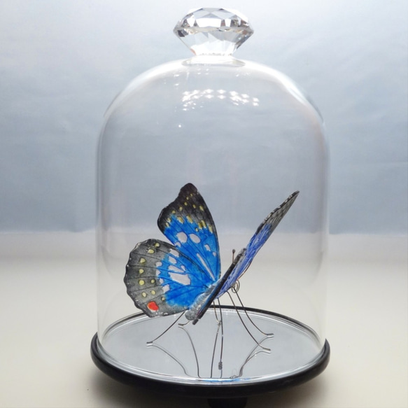ガラスの蝶 オオムラサキ in ドーム 2枚目の画像