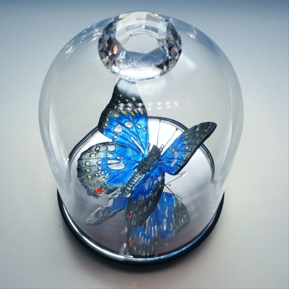 ガラスの蝶 オオムラサキ in ドーム 4枚目の画像