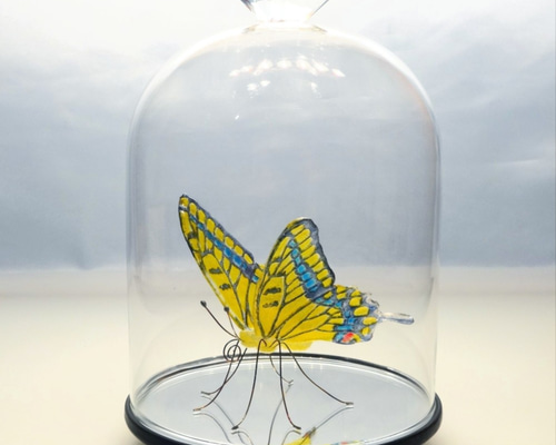 ガラスの蝶 キアゲハ in ドーム 立体・オブジェ 三田木精庵 (さんだ