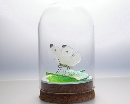 蝶の樹　Butterfly Tree #004 The Butterfly Tree