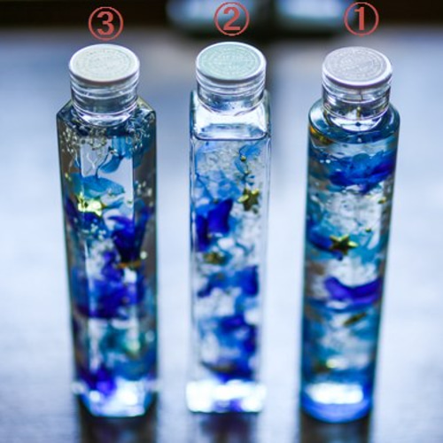 再販)ハーバリウム・Galaxy ハーバリウム・植物標本 Braganza 通販