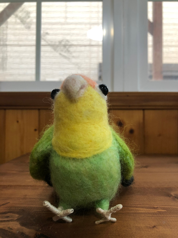 羊毛のコザクラインコちゃん 4枚目の画像