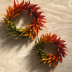 唐辛子カラフルリース Lサイズ ガーランド ネコファーム 通販