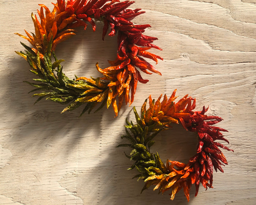 インテリア唐辛子リース 唐辛子リース カラフル Mサイズ その他インテリア雑貨 ネコ