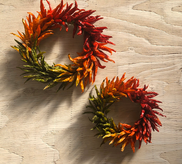 唐辛子カラフルリース Lサイズ ガーランド ネコファーム 通販 8565380