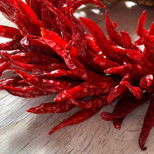 唐辛子リースLサイズ リース スパイス キッチン お正月飾り 贈り物