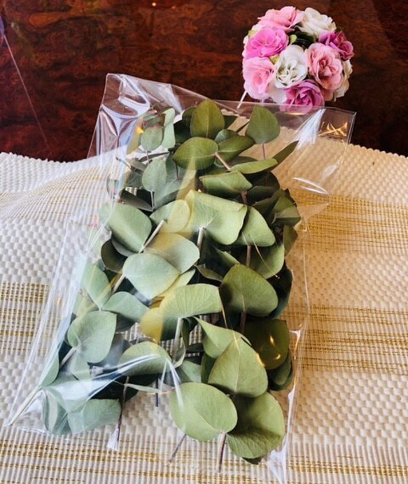 ユーカリグニーのスワッグ 花束 シンプルなユーカリスワッグ⭐︎ポロポロ落ちることもなく、殺菌