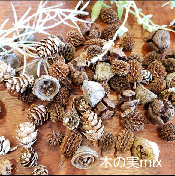 松ぼっくり 木の実 花材 ハンドメイド 手作りキット ミニサイズ