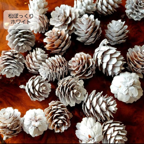 松ぼっくり 木の実 花材 ハンドメイド 手作りキット ミニサイズ