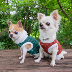 レース衿で和風おめかしバンダナリバーシブル/梅桜和柄ワンコスタイ綿