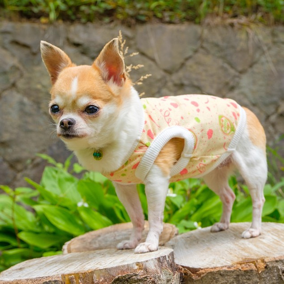 犬服 タンクトップ(Ｌ) ꒡̈⃝Lily꒡̈⃝ハンドメイド 犬服 タンクトップ(S) ꒡̈⃝Lily꒡̈⃝ハンドメイド Xmas