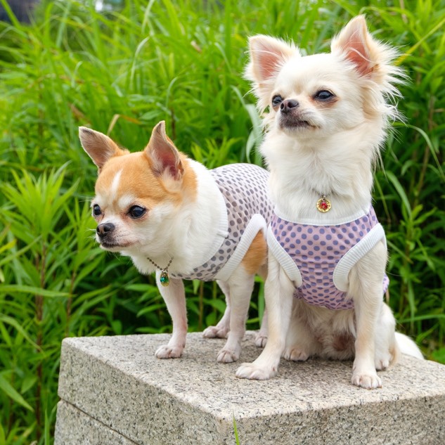 はなさき様❣️ダックス 印鑑スタンド♡ はなさき様❣️ダックス 印鑑スタンド♡ シルエット(ダックス